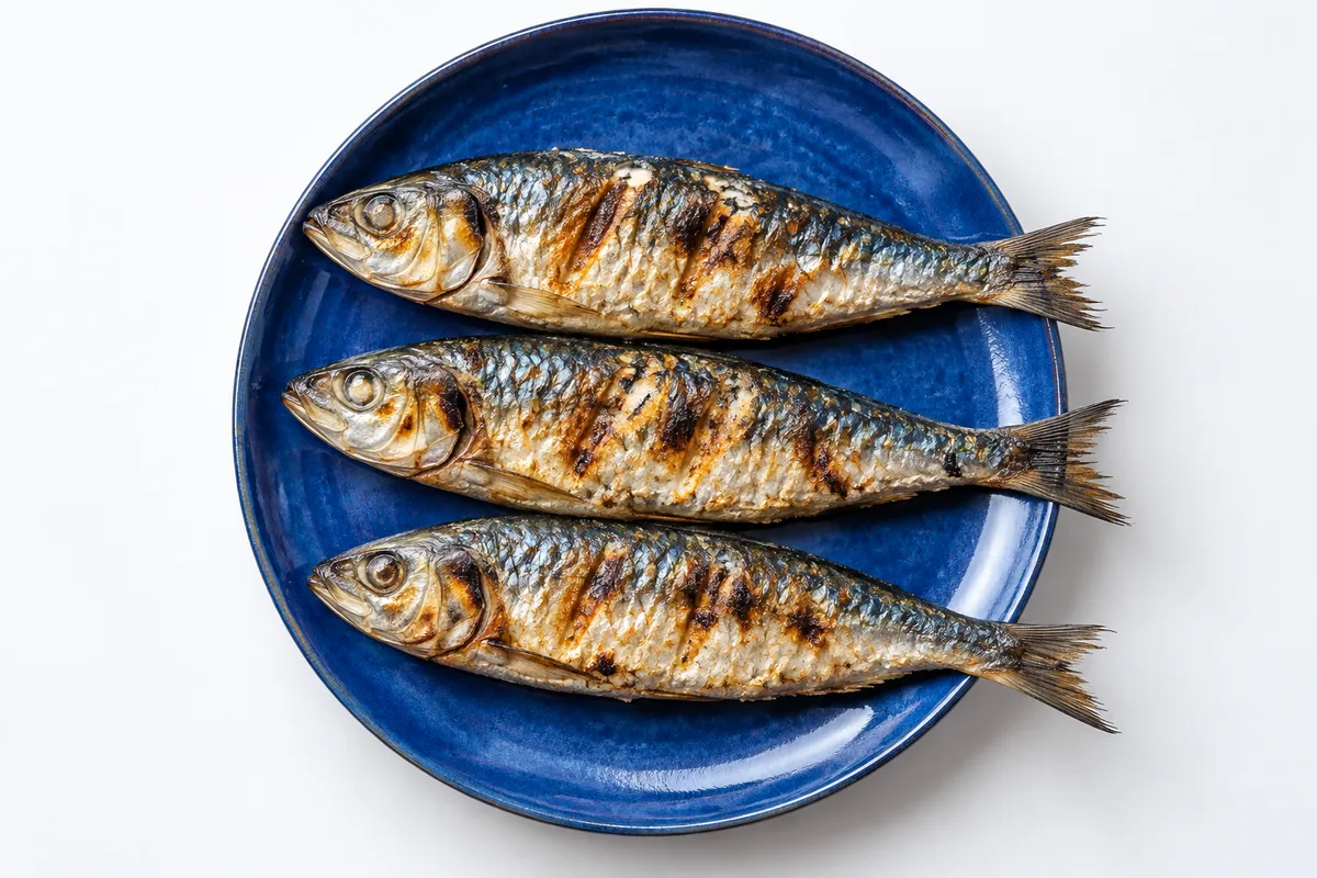 Illustrative grilled sardines on a cobalt blue plate